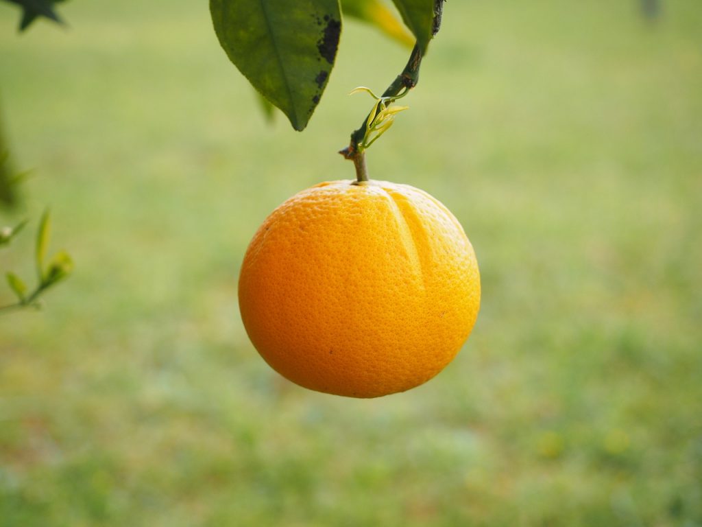 pomaranc-vitamin-c